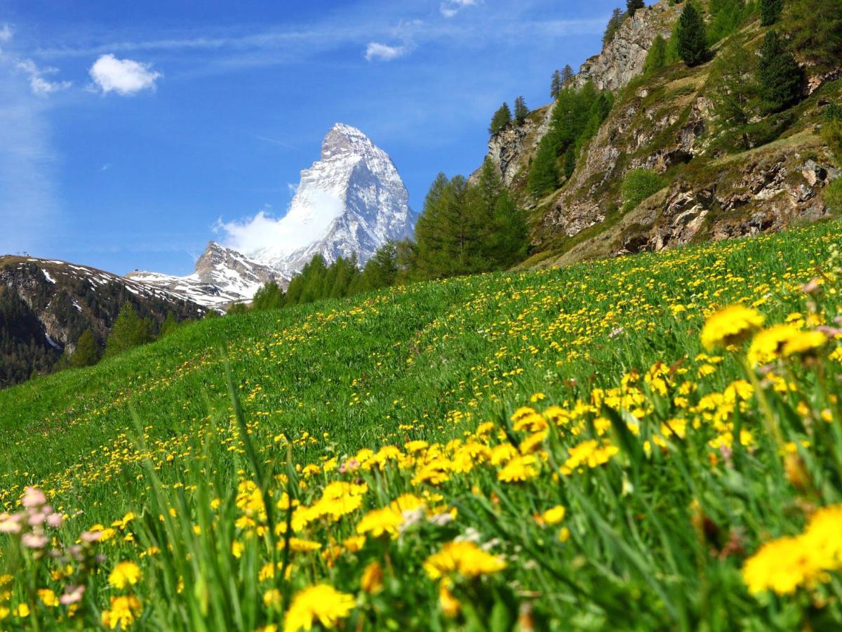 Apartment Monazit By Interhome Zermatt Buitenkant foto